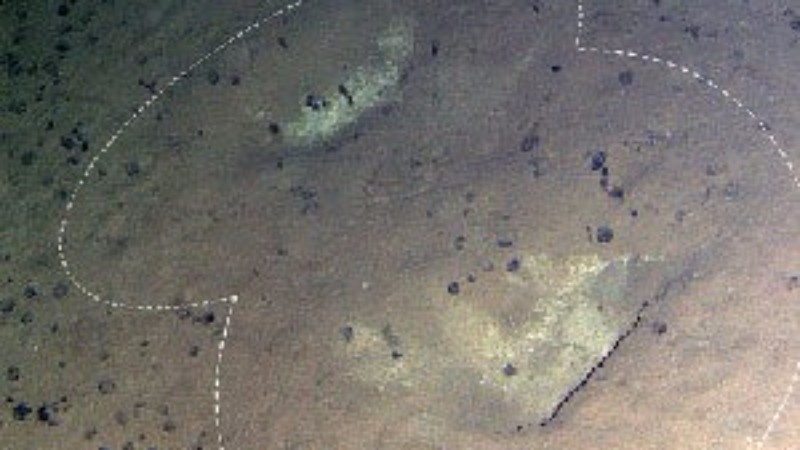 Неизвестное существо ходит по дну Тихого океана: обнаружены следы