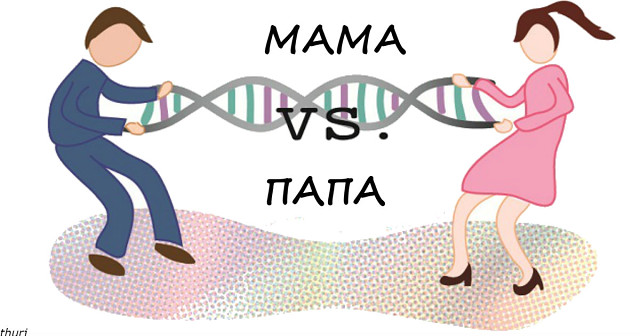 Вот какие генетические черты дети берут от мамы, а какие - от папы