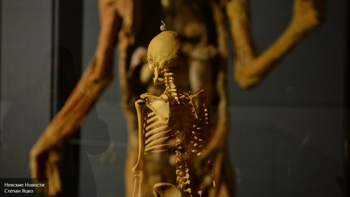 Ученые: тело человека на 99,9% состоит из пустоты