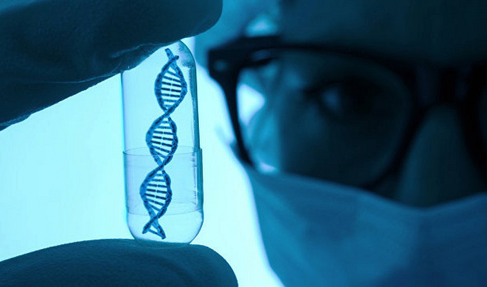 В мусорной ДНК учёные обнаружили инструкцию