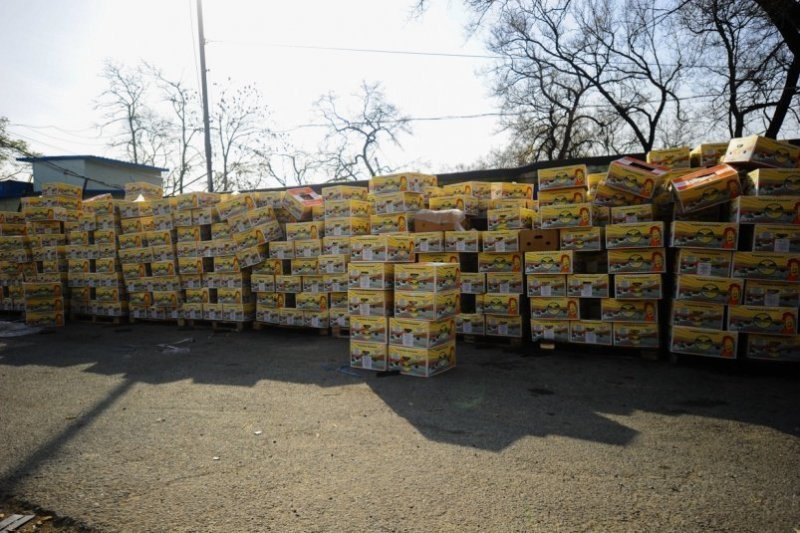 Во Владивостоке бесплатно раздавали бананы для желающих
