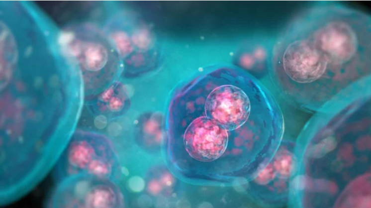 Биологи создали самые совершенные искусственные клетки
