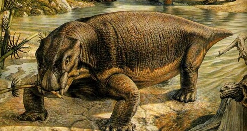 Палеонтологи Польши обнаружили останки гигантского предка человека