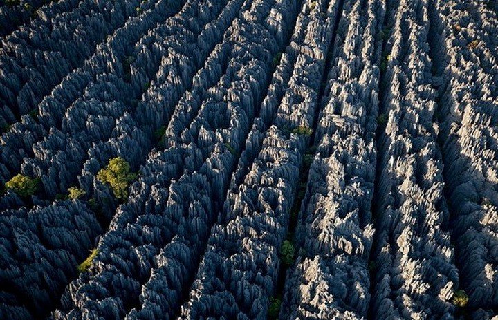 Каменный лес Мадагаскара – ни сантиметра ровной поверхности