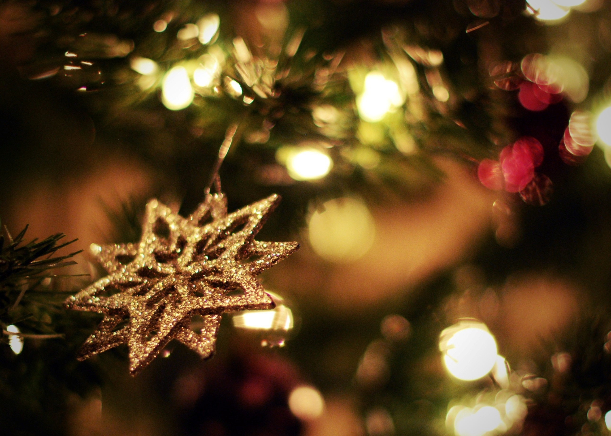 Семья из Британии на Рождество уже столетие ставит одну и ту же елку