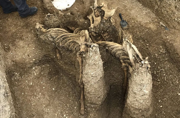 В Великобритании найдены загадочные доисторические скелеты