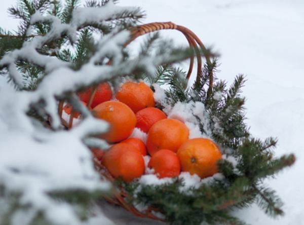 Есть ли польза в зимних фруктах?