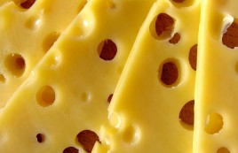 Тысячи элитных коров из Европы везут на огромный завод сыров в Маслянино