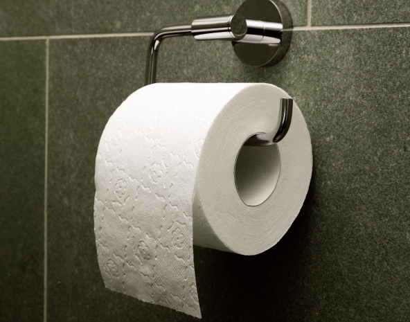 От туалетной бумаги призывают отказаться в Германии