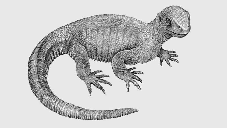 Раком болели даже доисторические рептилии