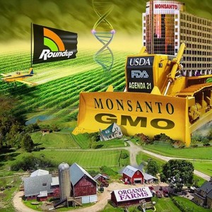 44 причины чтобы полностью запретить ГМО