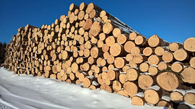 В Госдуму внесен законопроект о запрете вывоза леса из России до 2035 года