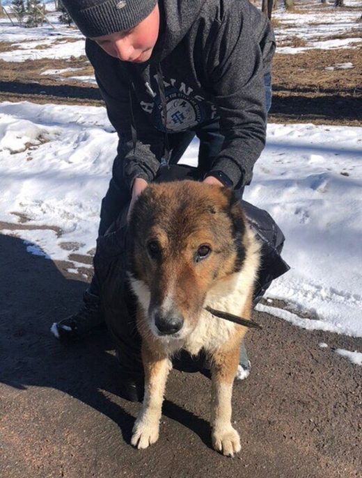 Настоящий герой: Школьник спас тонущую собаку из залива в Петербурге