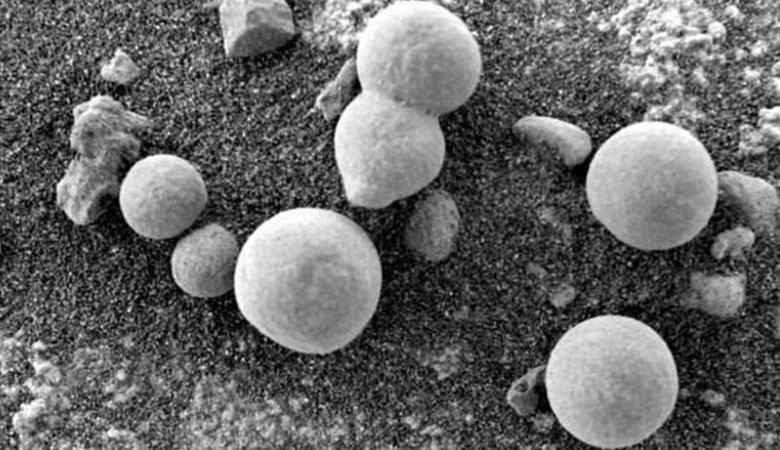 Ученые обнаружили на Марсе нечто похожее на грибки