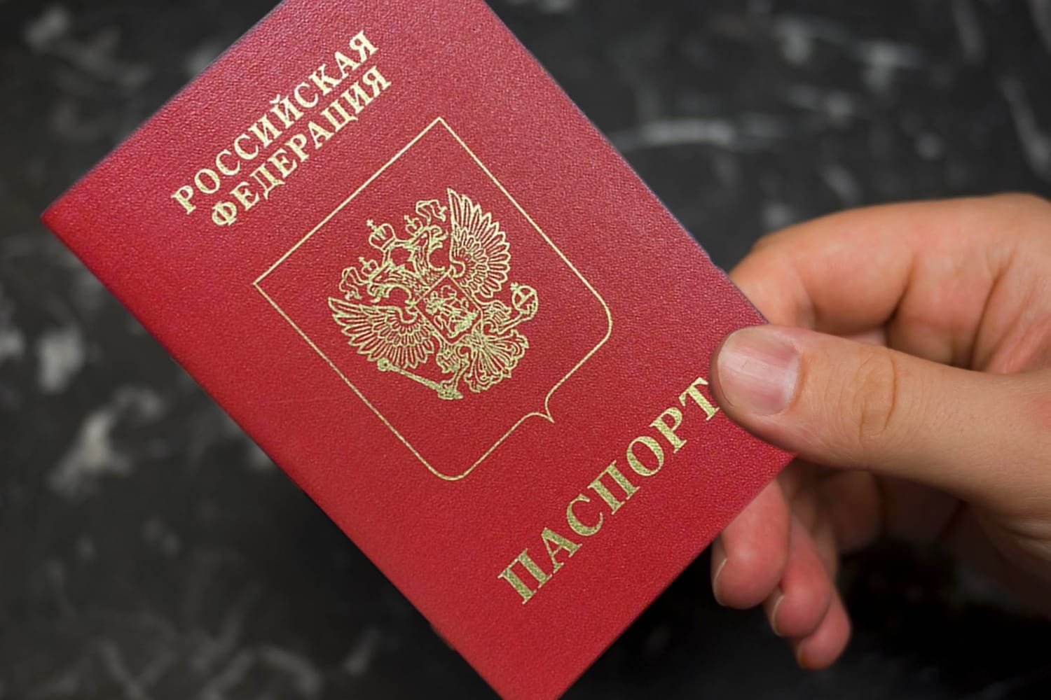 Либеральная демшиза против российских паспортов для жителей ЛДНР
