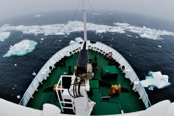 Арктика встречает исследователей