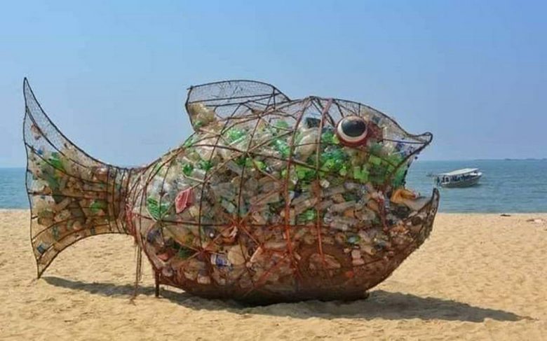 Гигантская рыбка Йоши – уникальная «игрушка», которая удивительным образом поддерживает чистоту на индийском пляже