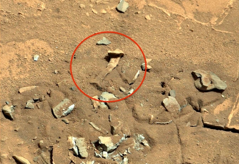 На Марсе обнаружили кости животного или даже марсианина