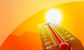 В ООН назвали 2019 год самым жарким в истории человечества
