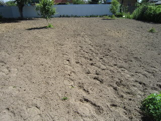 Песок - удобрение почвы на вашей даче