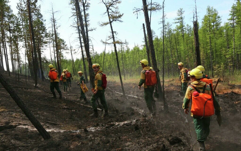 Генпрокуратура: в Иркутской области намеренно поджигали леса, чтобы скрыть незаконную рубку