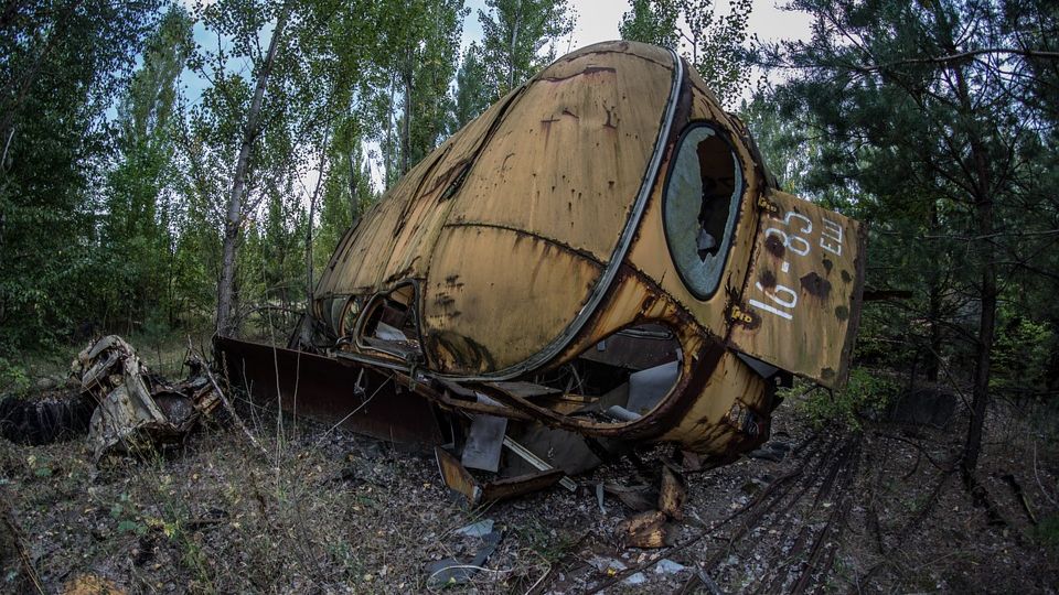 Мутанты в Чернобыле: есть ли они там на самом деле