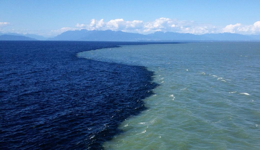 Почему воды двух океанов не смешиваются встречаясь