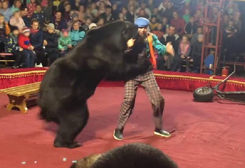 В России нападение медведя на дрессировщика на глазах у зрителей сняли на камеры - ВИДЕО