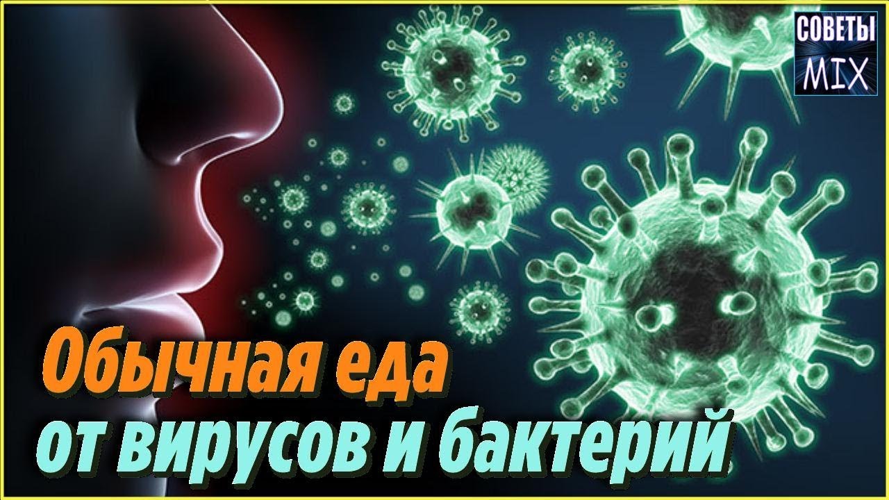 Продукты которые способны победить вирусы и бактерии Как повысить иммунитет без таблеток