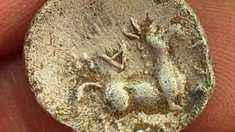 Удивительная находка в Великобритании: древняя монета с изображением осла из «Шрека»