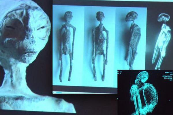 Ученые: найденные в Перу мумии - это действительно пришельцы (видео)