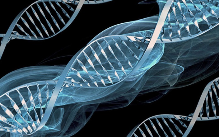 В ДНК человека зашифровано послание, оставленное инопланетным разумом