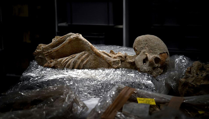 Место преступления – Афины: археокриминалисты изучают скелеты зверски убитых