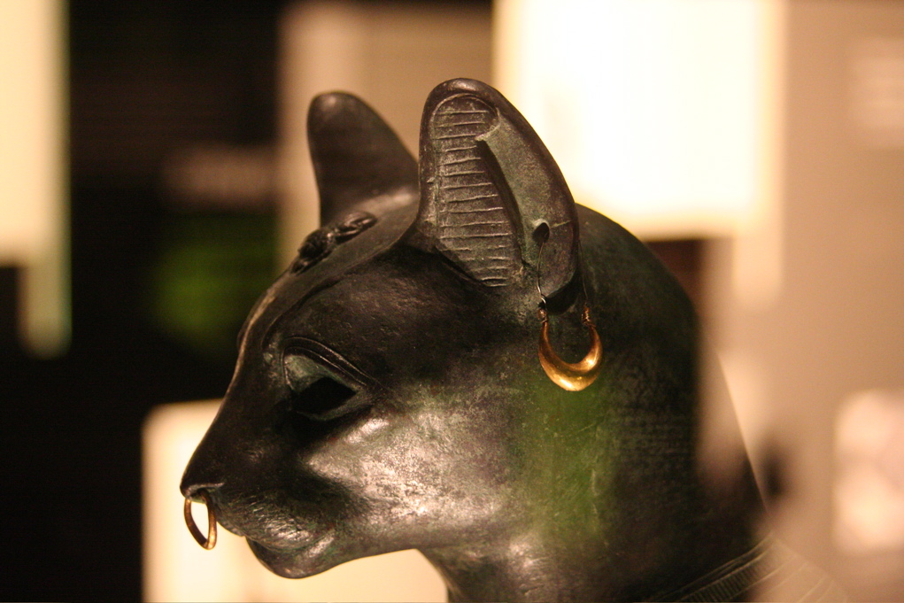 Кошек приручили древние египтяне