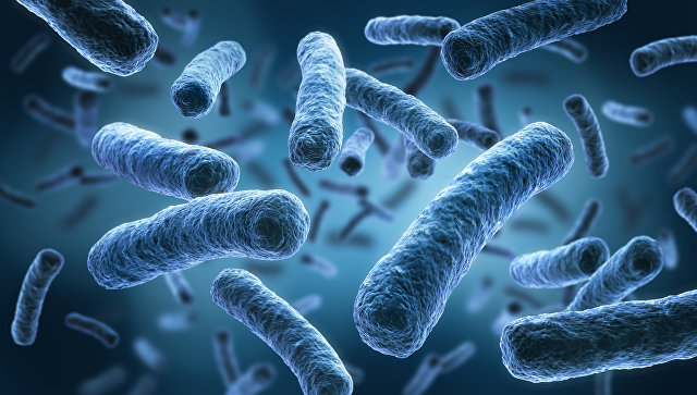 Биологи нашли тысячи неизвестных микробов в теле человека