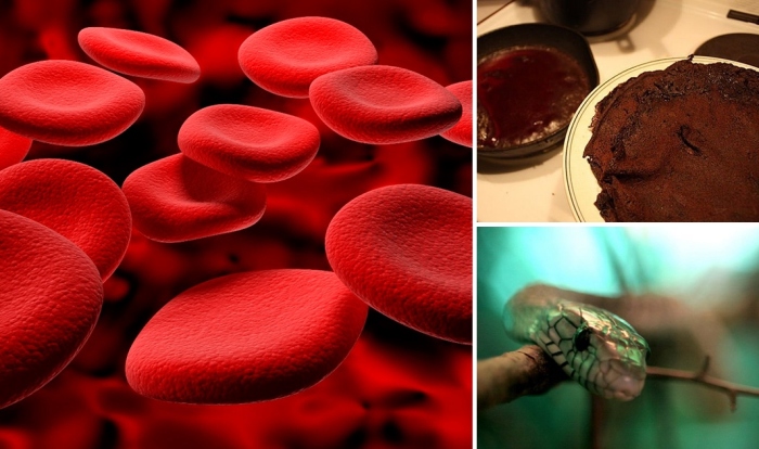 Необычное и странное использование крови