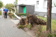 Мощные бури накрыли Польшу: повалены деревья, подтоплены дома