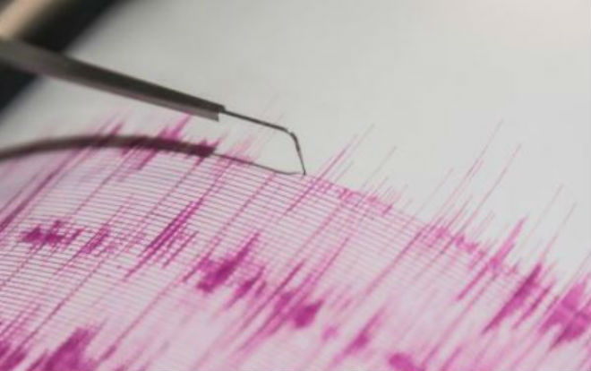 У берегов Чукотки произошло землетрясение магнитудой 6,3
