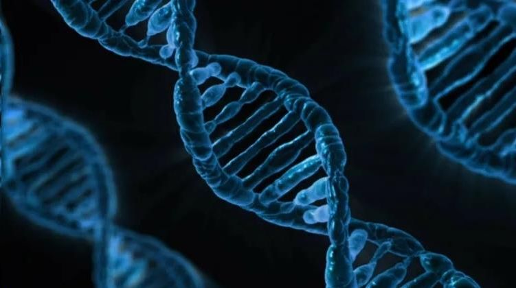 В ДНК человека найден ген неизвестного предка