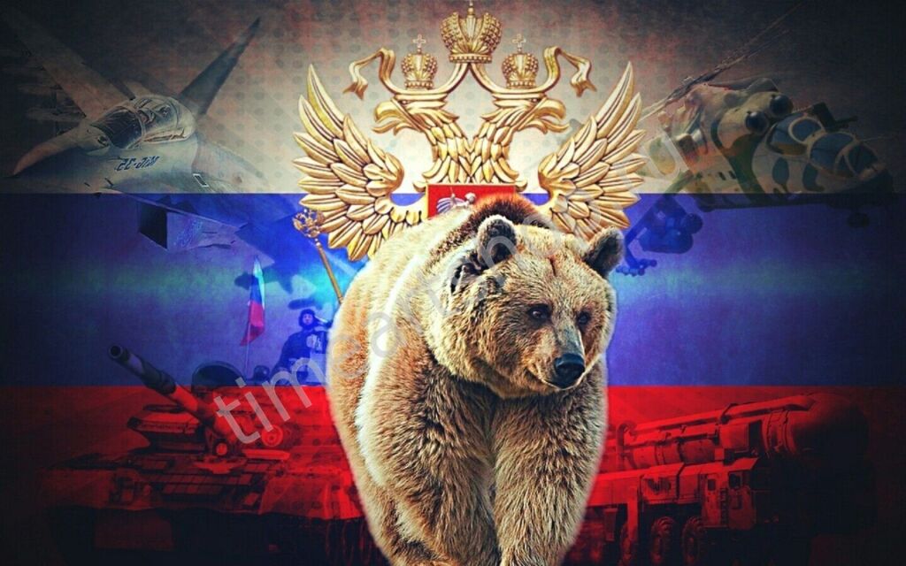 Пока весь мир зализывает раны, Россия бьет поистине золотые рекорды