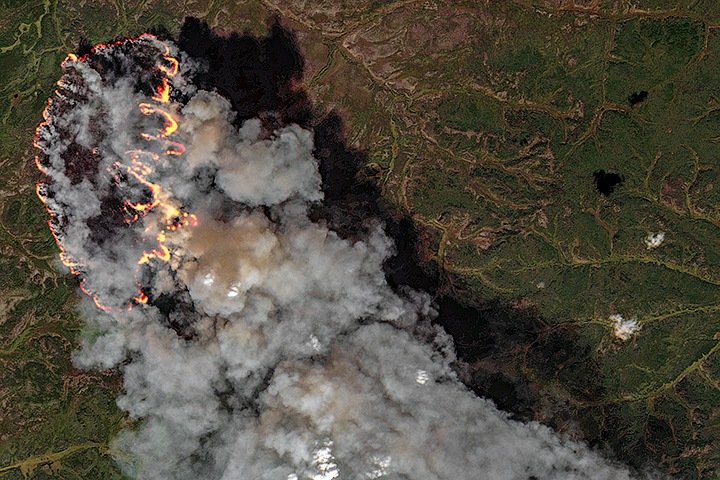 Площадь лесных пожаров в Сибири выросла в три раза за неделю