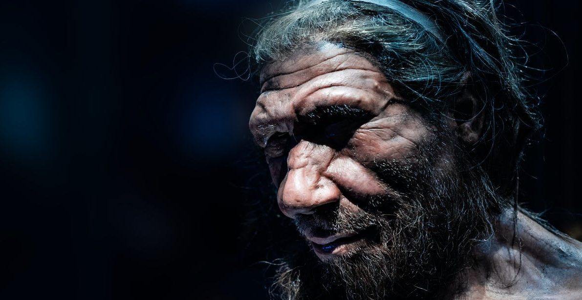 Археологи выделили старейшую ДНК Неандертальцев