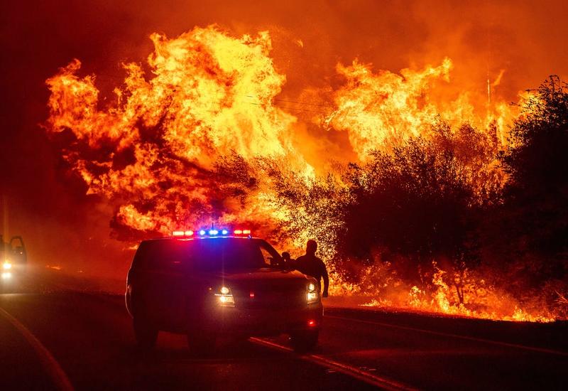 Пожары на западном побережье США уничтожили более миллиона гектаров леса