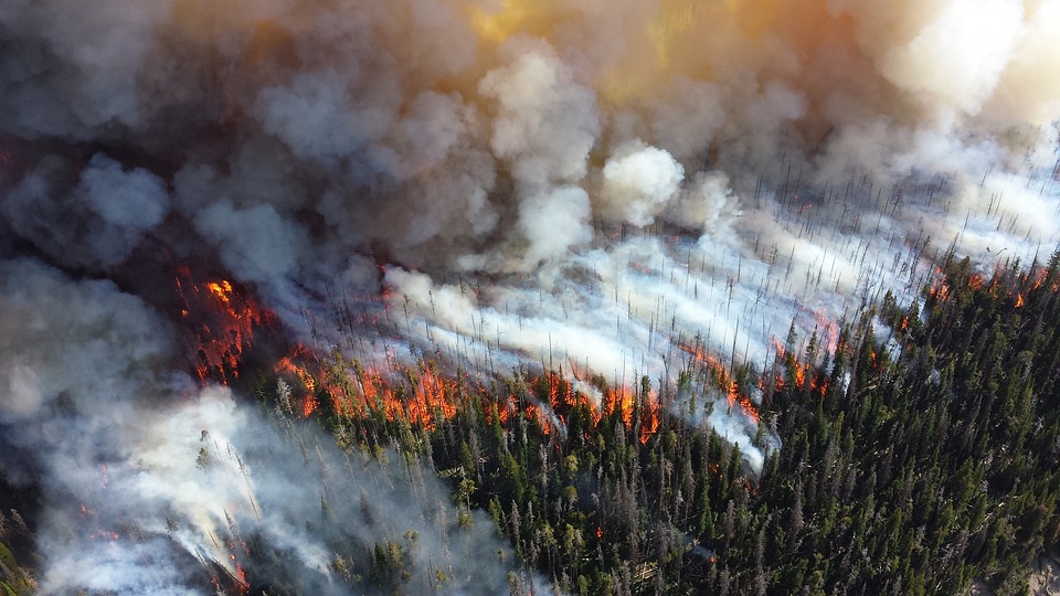 Пожары в Австралии изменят климат на всей Земле