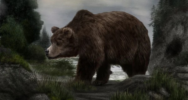 В Сибири найден вымерший пещерный медведь