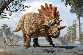В костях титанозавров палеонтологи нашли древних паразитов