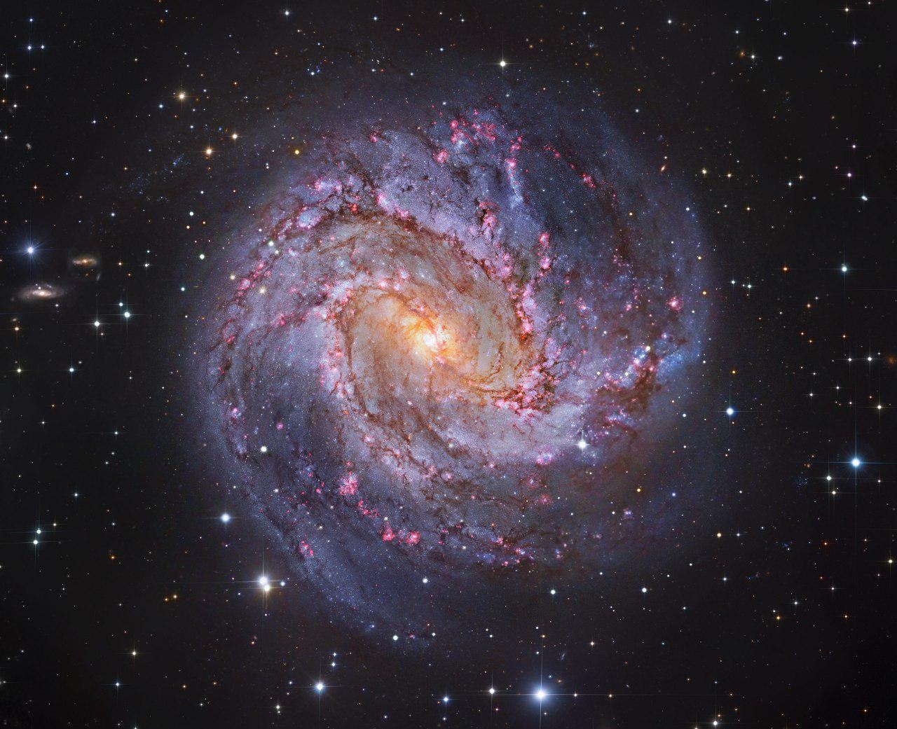 Спиральная галактика Южная Вертушка (M83)