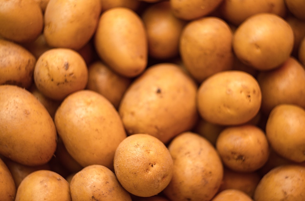 Брянская область собрала картошки больше, чем вся Беларусь