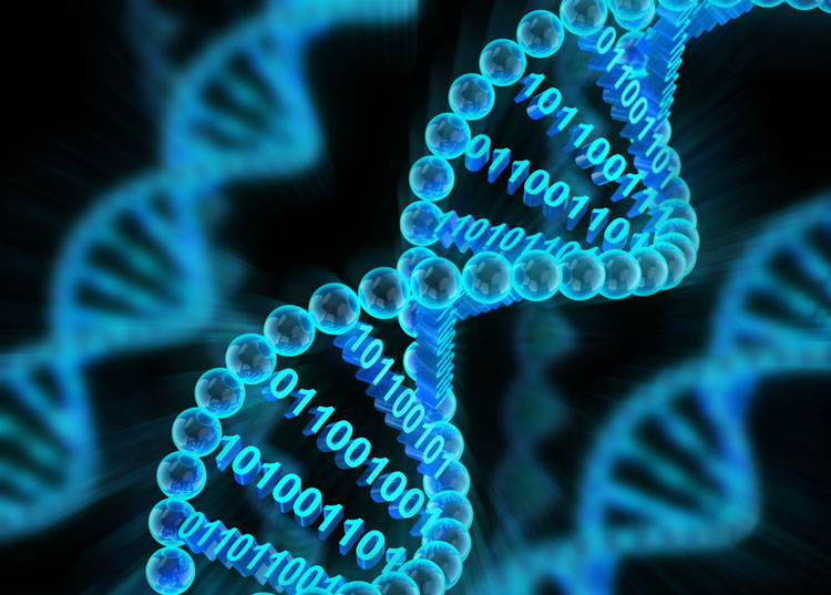 Создано карманное устройство для считывания ДНК