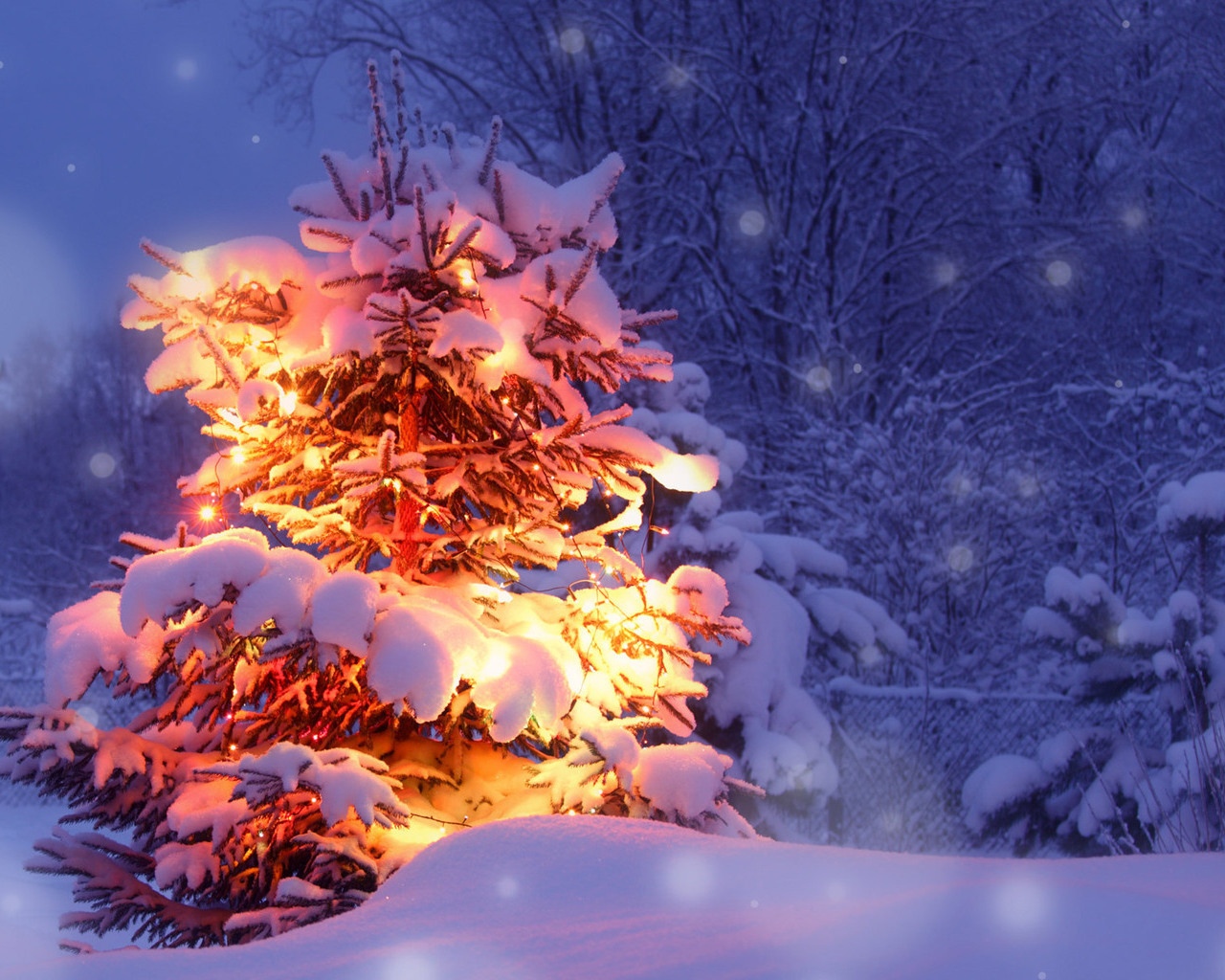Оттепели и морозы: прогноз на новогоднюю ночь